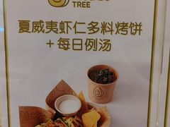 -油梨树AVOCADO TREE(嘉里中心店)