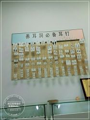 -AI艾耳·专业手工耳洞·穿孔美学馆