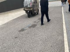 -东方体育中心(地铁站)