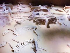 -洛阳周王城天子驾六博物馆