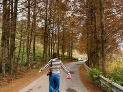 -东白山