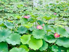 -繁毅农庄