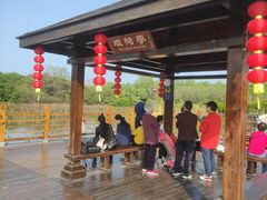 -大湾区中央湿地公园