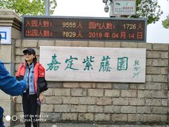 -嘉定紫藤园