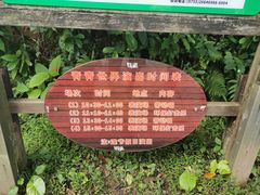 -青青世界