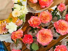 -西安电影制片厂