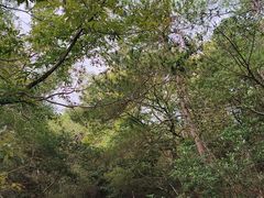 -虞山风景区