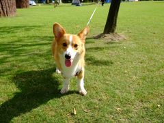 -上海月湖雕塑公园