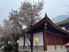 -华清宫景区