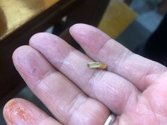 -牛一锅正宗凯里老街酸汤牛肉(尚礼路店)
