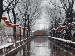 -大槐树寻根祭祖园