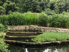-成都市活水公园
