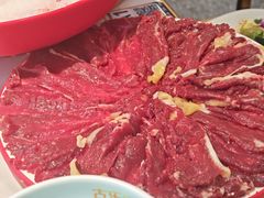 -古乐牛香•鲜牛肉牛杂火锅(系马桩总店)