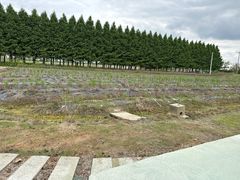 -嘉北郊野公园