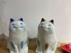 -猫里有甜