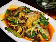 旱蒸回锅肉-陈麻婆豆腐总店