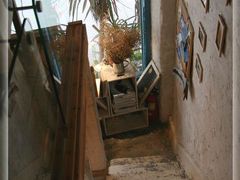 -Babycat私家御饼屋(龙头路一店)