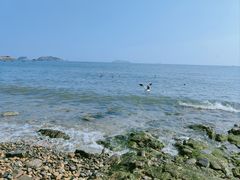 -星海湾跨海大桥