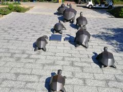 -广东惠东海龟国家级自然保护区