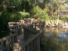 android_upload_pic-朱家角课植园