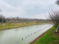 -上海海湾国家森林公园