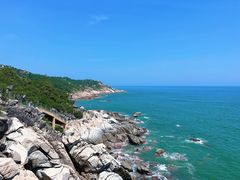 -广东惠东海龟国家级自然保护区