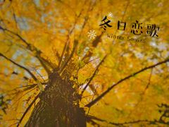 -汇龙潭