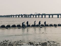 -南汇新城海滩