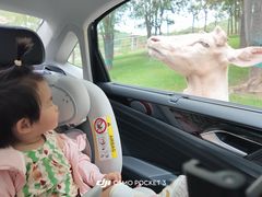 -南京金牛湖风景区