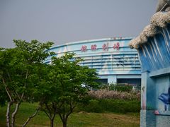 -石家庄极地海洋世界