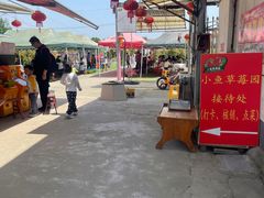 -小鱼草莓采摘园农家乐·小鱼餐厅