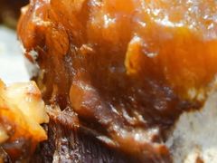 -高玛纳驴肉火烧(河间总店)