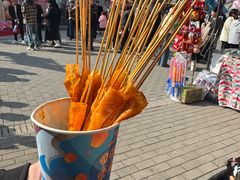 -白鹿原影视城