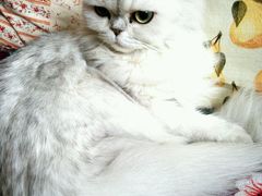 -广州迷途主题旅馆(海珠广场店)