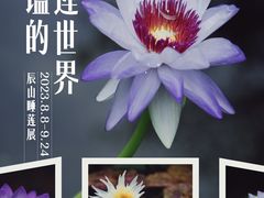 -上海辰山植物园