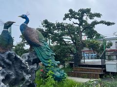 -丽泽山庄·生态怀柔菜·虹鳟鱼(红螺寺店)