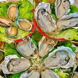 私藏发出来了!东莞📍198💰吃六大锅海鲜🦞