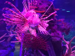 -沈阳海洋探索中心