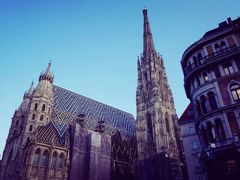 -斯蒂芬主教座堂(Stephansdom)