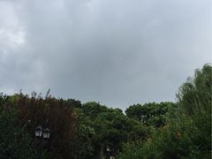 -上海虹桥迎宾馆