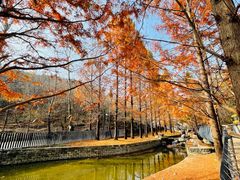-白水寺森林公园