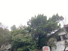 -善卷洞风景区