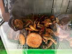 -山菌美食苑(振兴路店)