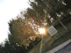 -亿利库布其七星湖沙漠生态旅游区