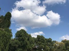 -上海月湖雕塑公园