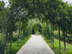 -人民公园(罗湖区)