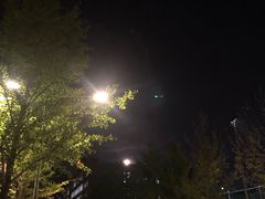 -东北大学(南湖校区)
