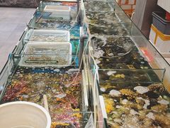-东宴(温岭店)