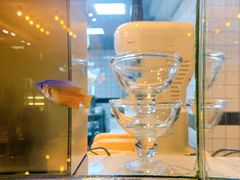 -糖糖屋•糖水•雪花冰店(时尚天河店)