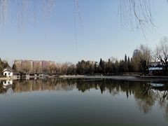 -团结湖公园